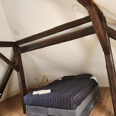 Apartman Buzanova 001 Apartman Zágráb Kültér fotó