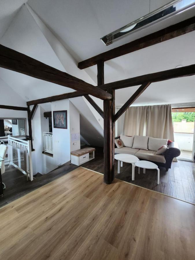 Apartman Buzanova 001 Apartman Zágráb Kültér fotó