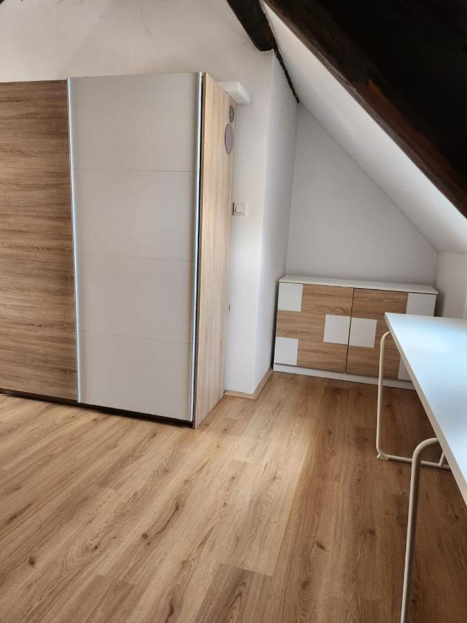 Apartman Buzanova 001 Apartman Zágráb Kültér fotó