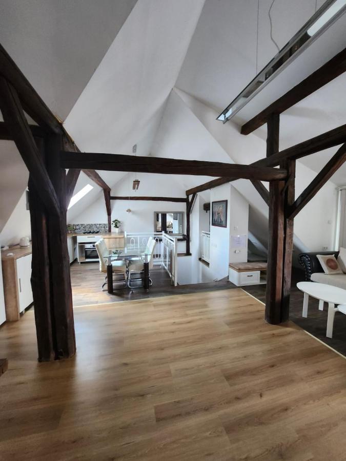 Apartman Buzanova 001 Apartman Zágráb Kültér fotó