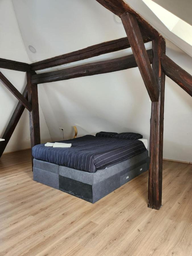 Apartman Buzanova 001 Apartman Zágráb Kültér fotó