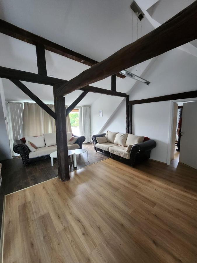 Apartman Buzanova 001 Apartman Zágráb Kültér fotó