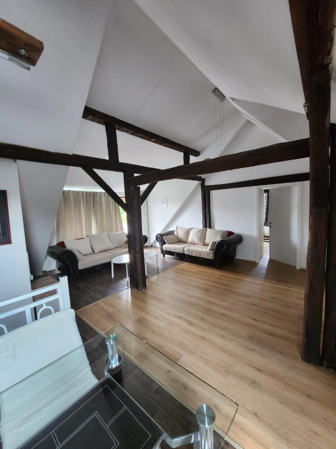 Apartman Buzanova 001 Apartman Zágráb Kültér fotó