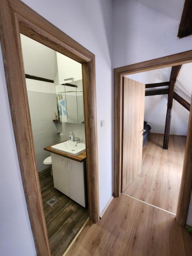 Apartman Buzanova 001 Apartman Zágráb Kültér fotó